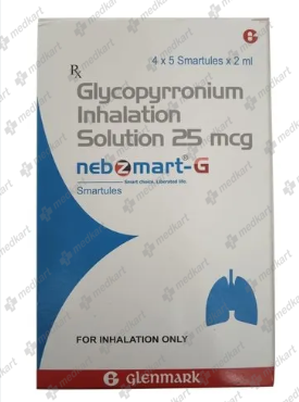 NEBZMART G SMARTULES 2 MLX5