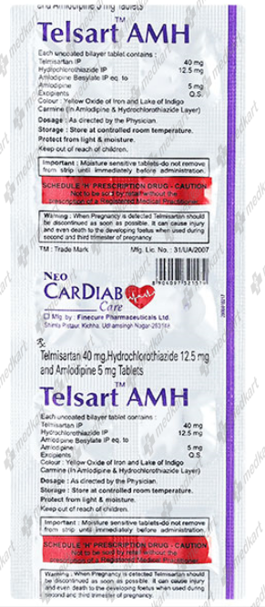 TELSART AMH TABLET 10'S