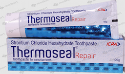 THERMOSEAL REPAIR PASTE 100 GM