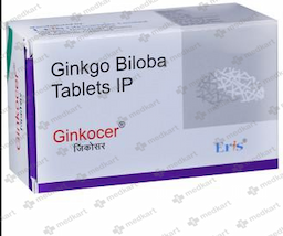 GINKOCER 120MG TABLET 10'S