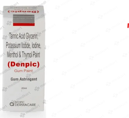 DENPIC GUM PAINT 20 ML