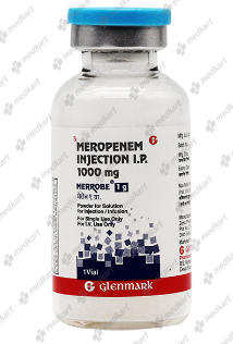 MERROBE 1 GM INJECTION