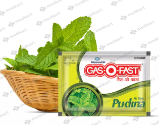 GAS O FAST SACHET PUDINA 5 GM