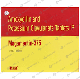 MEGAMENTIN 375MG TABLET 6'S