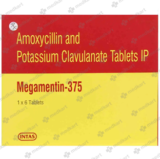 MEGAMENTIN 375MG TABLET 6'S