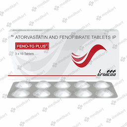 FENO TG PLUS TABLET 10'S