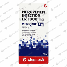 MERROBE 1 GM INJECTION