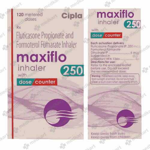 MAXIFLO 250 INHALER